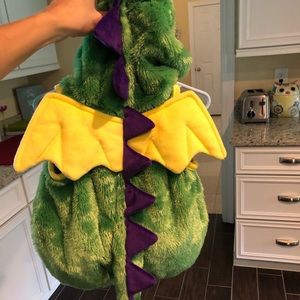 Baby dragon costume